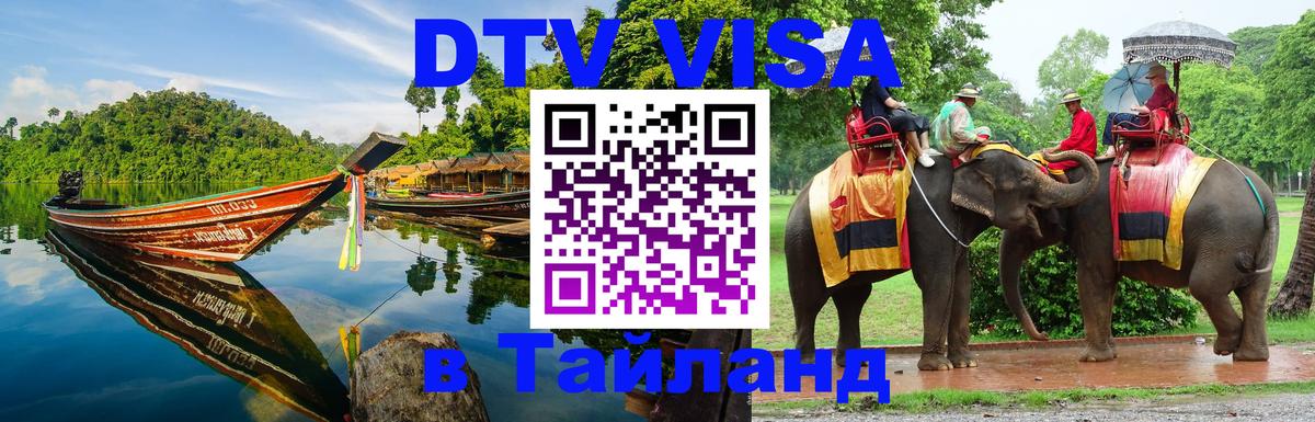 Оформление DTV визы под ключ: стоимость и тарифы, только загранпаспорт - 05.10.2025 